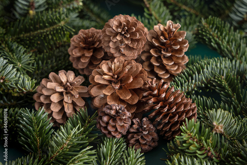 Fir branches and pine cones close up. Christmas or New Year Holiday winter composition
