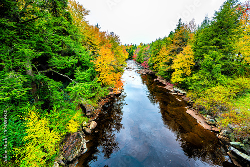 Fotografía Blackwater falls creek river water high angle above view in Davis, West Virginia