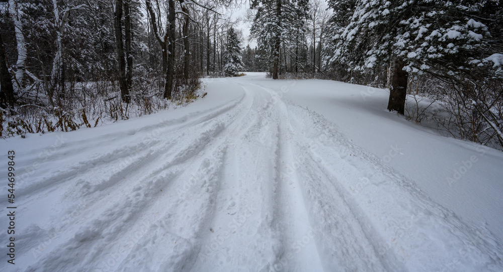 Deep vehicle tracks in fresh snow that is about one foot deep. In a forest setting looking along a narrow lane.
