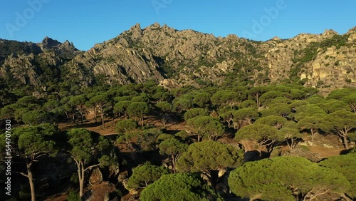 Untouchable wild nature of Turkey. Latmos or Besparmak mountains and valley with high pine forest and rocks. photo