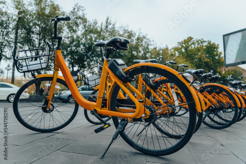 Bicycles for rent