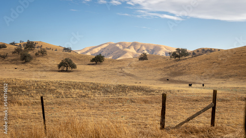 Parched farmland with yellow gold grass and rolling hills in the late summer of California, USA