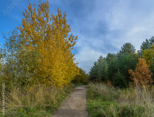 Autumn landscape of the Sablinsky Reserve in the Leningrad Region. photo