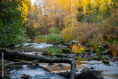 Autumn by the river photo