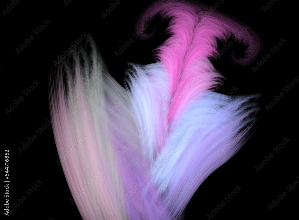 Obraz premium feather pink black art design graphic illustration fractal colour 