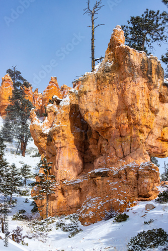 snowy trees and massive rock formations during winter in bryce canyon national park; orange rocks covered with snow, winter in the usa