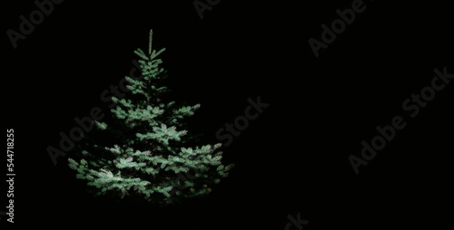 Wallpaper Mural Christmas tree on a dark background Torontodigital.ca