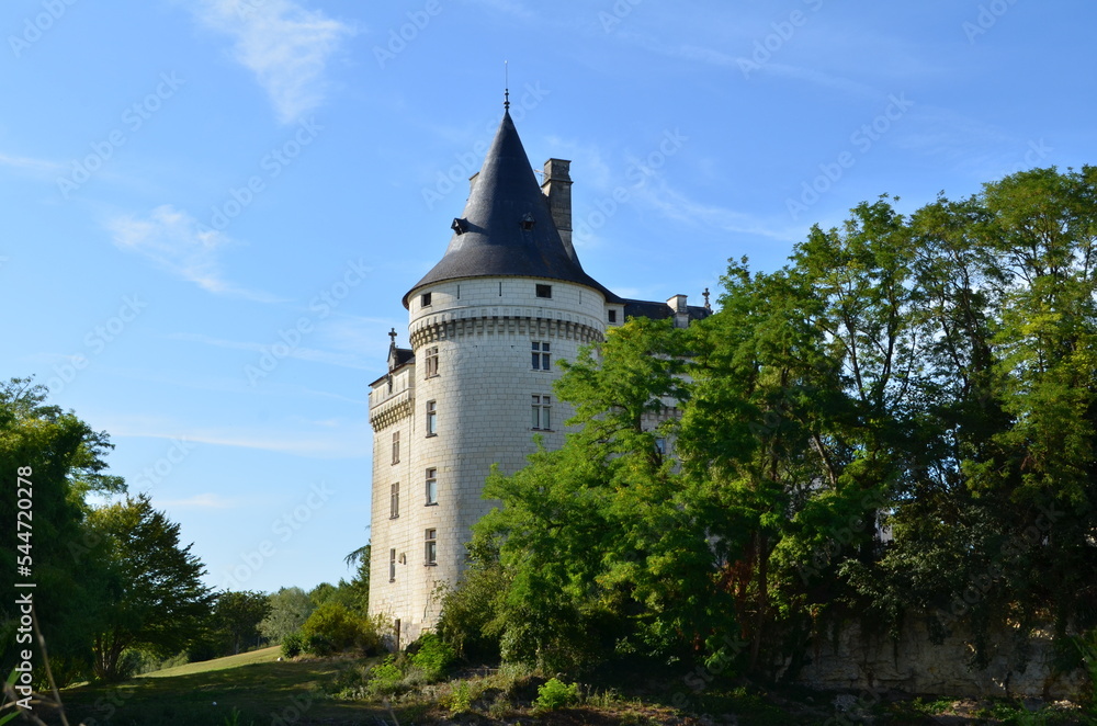Le château de Verneuil-sur-Indre (Indre-et-Loire - Centre-Val de Loire -   France)