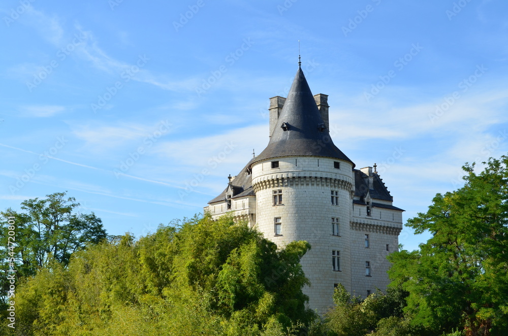 Le château de Verneuil-sur-Indre (Indre-et-Loire - Centre-Val de Loire -   France)