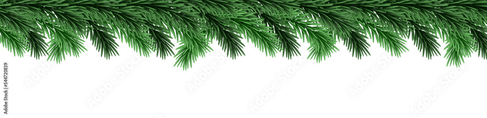 Christmas branch on transparent background