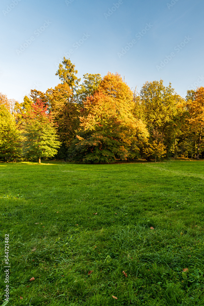 Fototapeta premium Autumn public park with meadow, colorful trees and clear sky