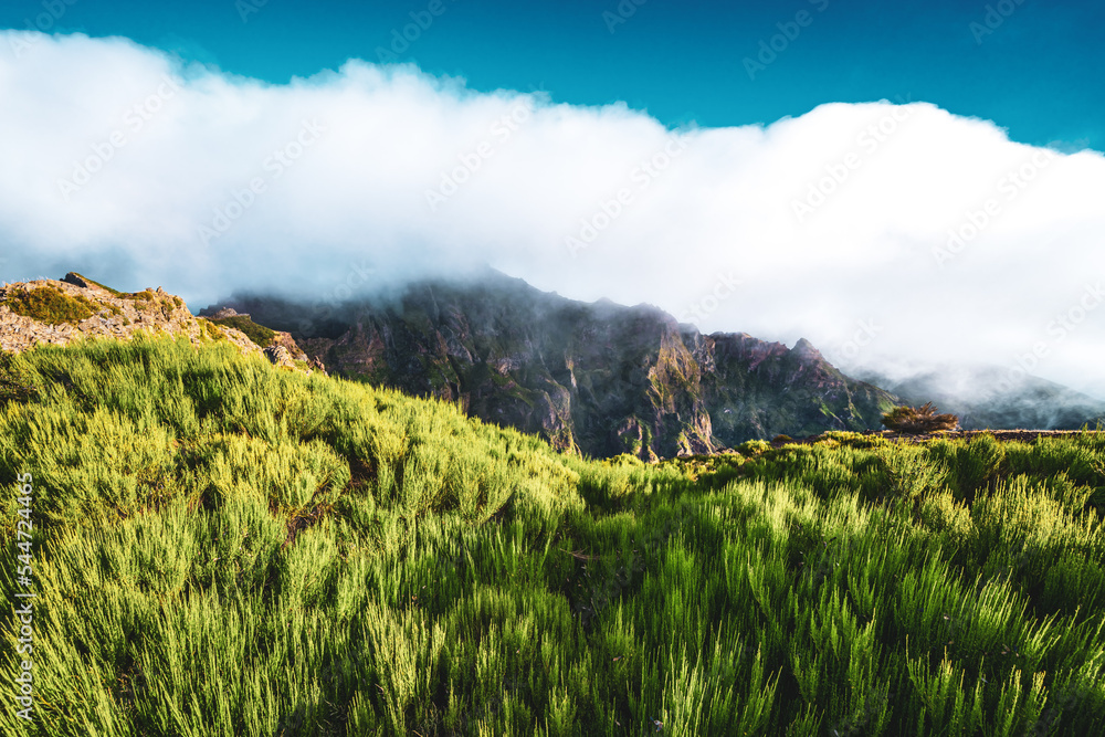 Fototapeta premium Beautiful mountain scenery along the hike trail to Pico Ruivo in the morning. Pico do Arieiro, Madeira Island, Portugal, Europe.