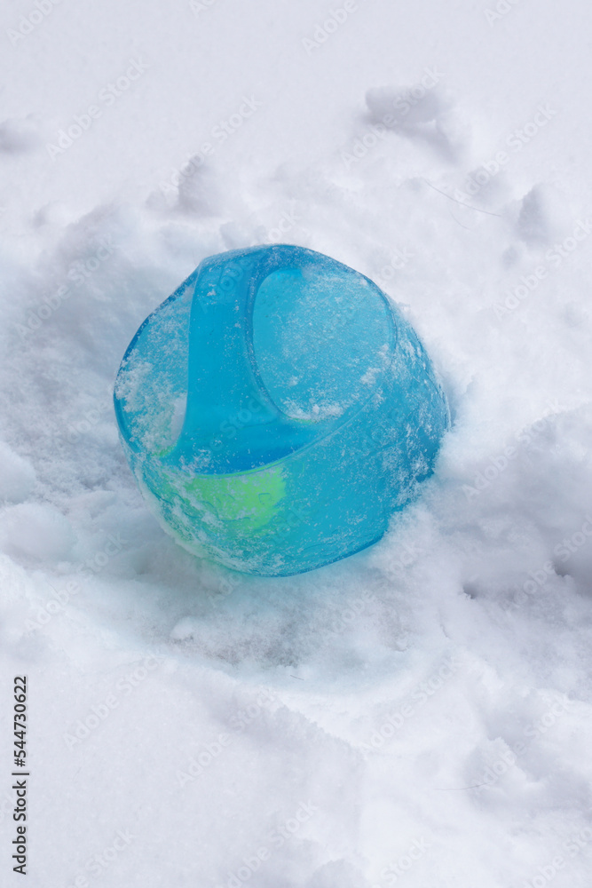 blue bouncy ball pet toy large dog toy noisy loud toy ball outside frozen in snow light blue tennis ball inside handles dog tug toy for big dogs winter time fun ball outside in snow frozen winter snow blue bouncy ball pet toy large dog toy noisy loud toy ball outside frozen in snow light blue tennis ball inside handles dog tug toy for big dogs winter time fun ball outside in snow frozen winter snow