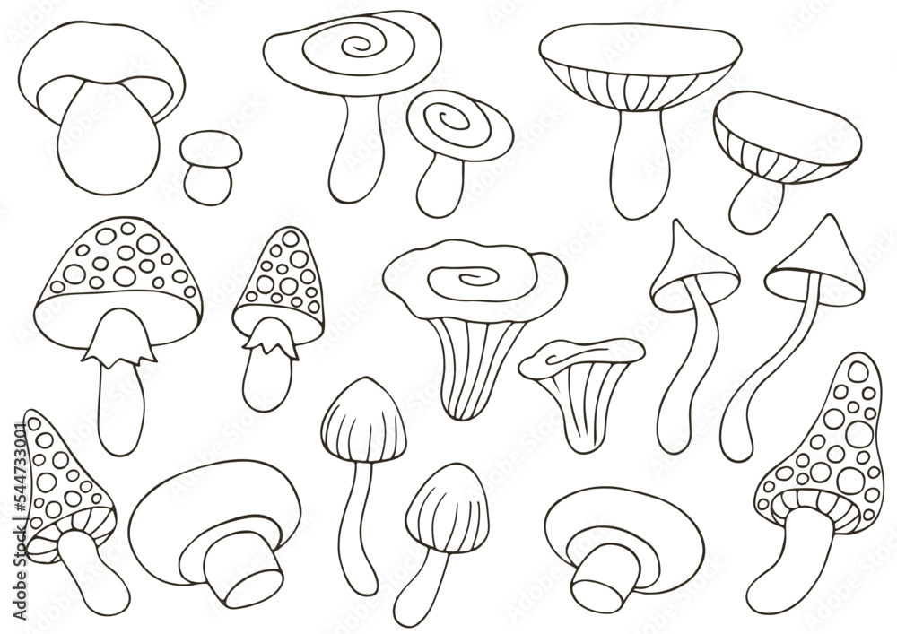 Autumn. Monochrome illustration in hand drawn style Autumn. Monochrome illustration in hand drawn style