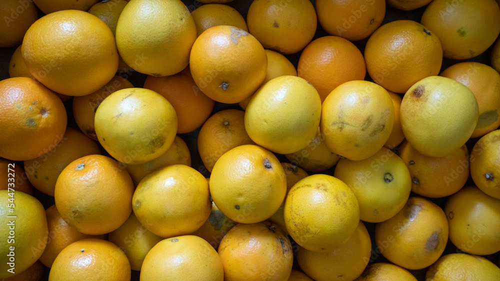 Group of oranges fruit overhead shot on a greengrocery