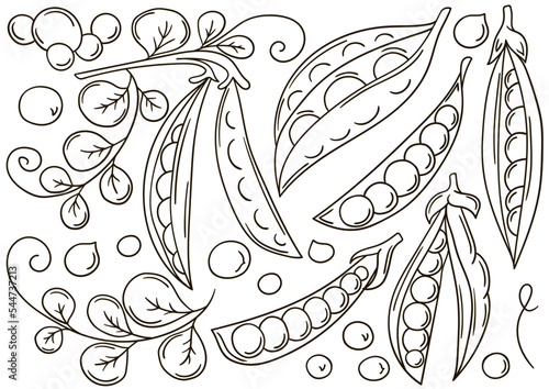 Set of vector illustrations in hand drawn style. Coloring poster with fruits