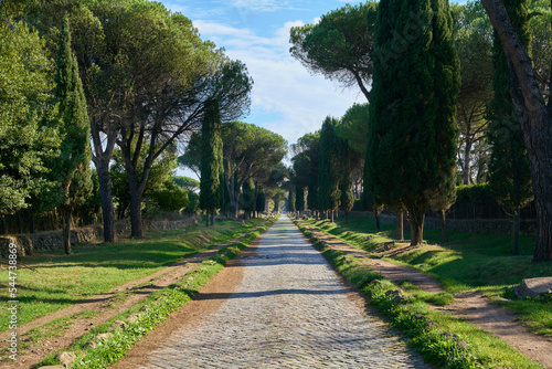 Via Appia antica (antique Appian way), urban regional park in Rome, Italy	 photo
