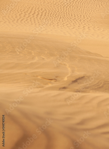 Texture of Sand dunes in the desert