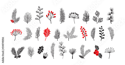 Christmas fir and tree vector icon, winter pine branch spruce and leaf, holly twig, evergreen plant, mistletoe, acorn isolated on white background. Xmas nature illustration