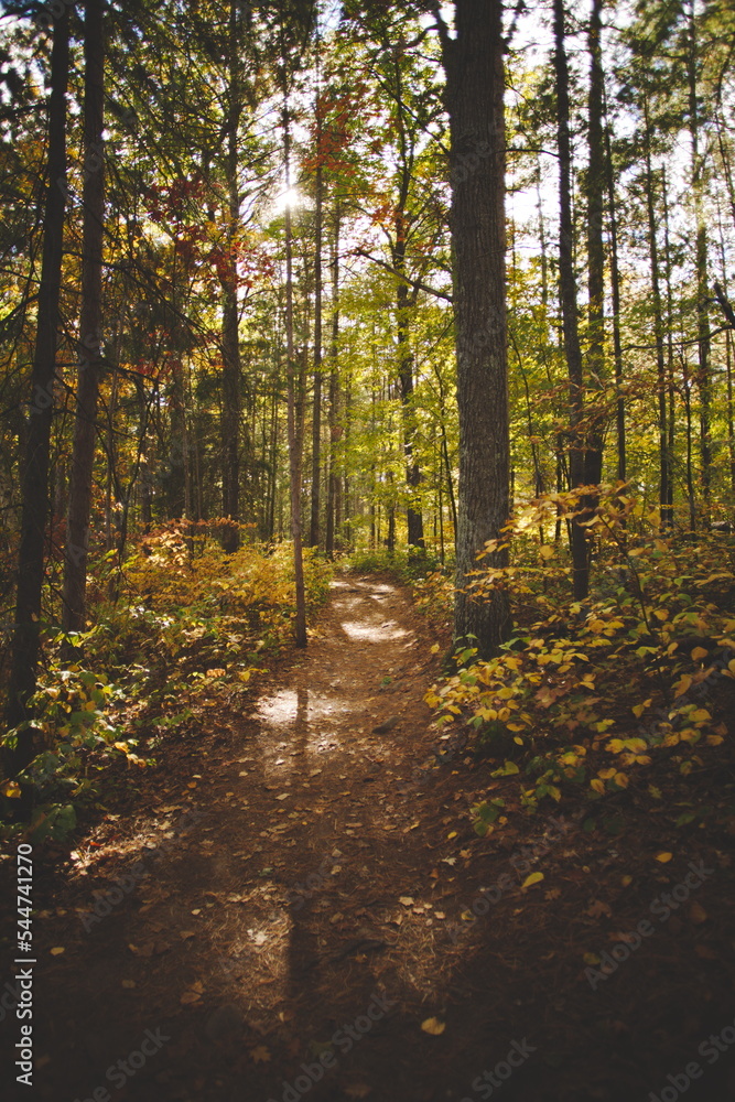 Obraz premium Bon Echo Provincial Park in Ontario, Canada. A spectacular landmark in North America alongside Mazinaw Lake. Autumn leaves and fall colors late in the season making for a beautiful landscape.