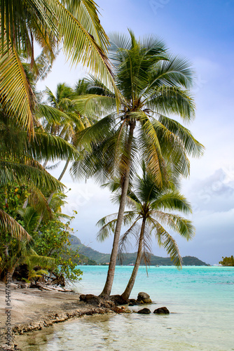 View Bora Bora from motu in French Polynesia,   photo