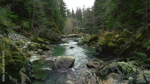 Travelling down a creek through a forest in northwestern BC