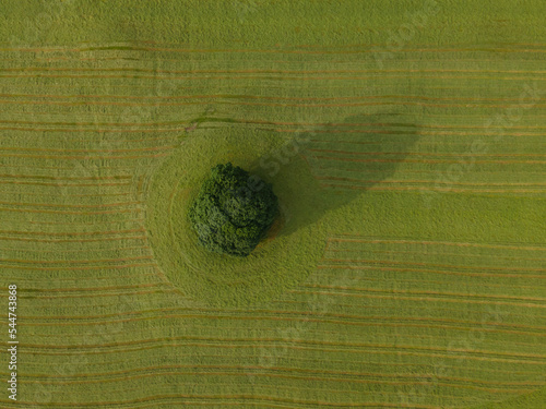 A drone shot of a tractor turning grass, Malham, UK