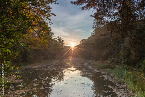 Rakotzbrücke im Herbst photo