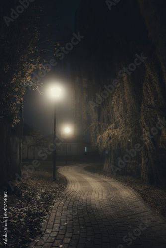 City park at night in fog