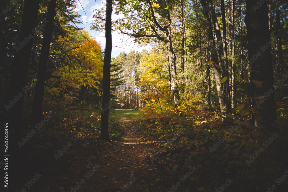 Fototapeta premium Bon Echo Provincial Park in Ontario, Canada. A spectacular landmark in North America alongside Mazinaw Lake. Autumn leaves and fall colors late in the season making for a beautiful landscape.