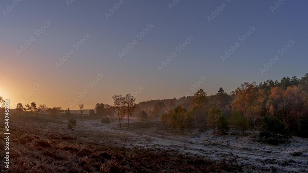 Fototapeta premium Herbst in der Lüneburger Heide 