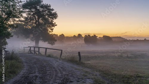 Lüneburger Heide im Nebel