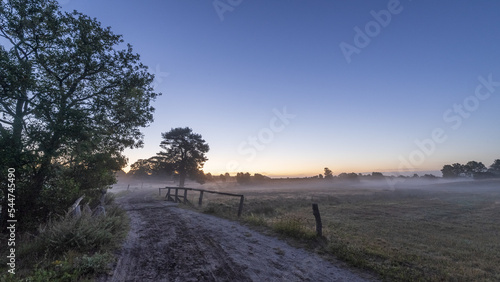 Lüneburger Heide im Nebel 
