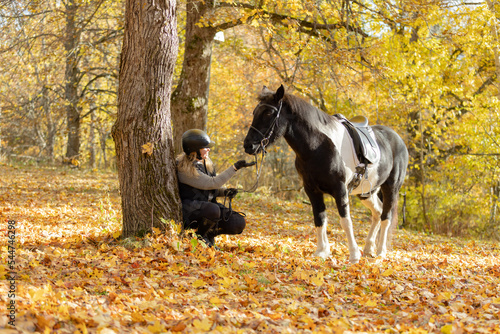 Black and white Icelandic horse and female rider in autumn scenery under maple tree with maple leaf on the ground. Rider wearing black helmet. © AnttiJussi