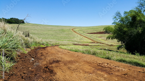 Fotografie Composição horizontal de paisagem paranaense do brasil, com estrada em primeiro plano e área de plantação ao fundo