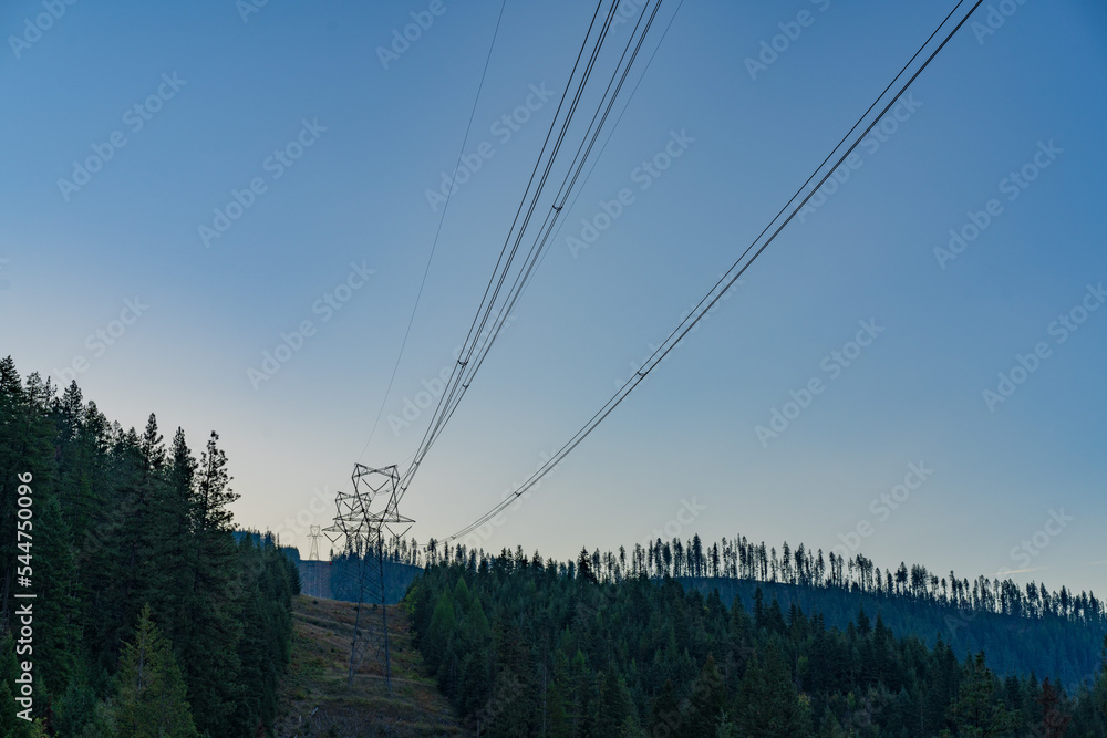 Electric Infrastructure