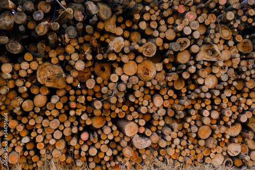 Wooden Logs.Heating season.solid fuel. Tree Trunks For Heating.Dry Chopped Firewood Logs In A Pile. Large Log Woodpile.Shredded And Stacked
