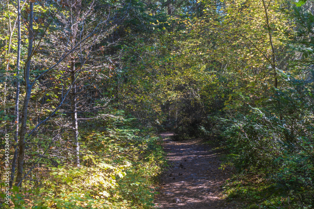 Obraz premium Bass Creek