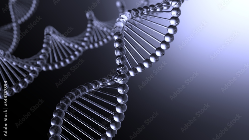 Science Molecular Clear DNA Model Structure under blue-white flash lighting background. 3D illustration. 3D CG. 3D high quality rendering.