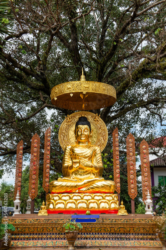 Golden Buddha statue, local art of northern people, Nan province, Thailand