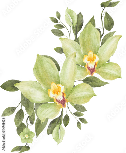 Green Watercolor Flower