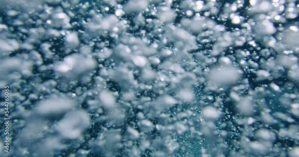 bubbles undereater in slow motion bubbles undereater in slow motion