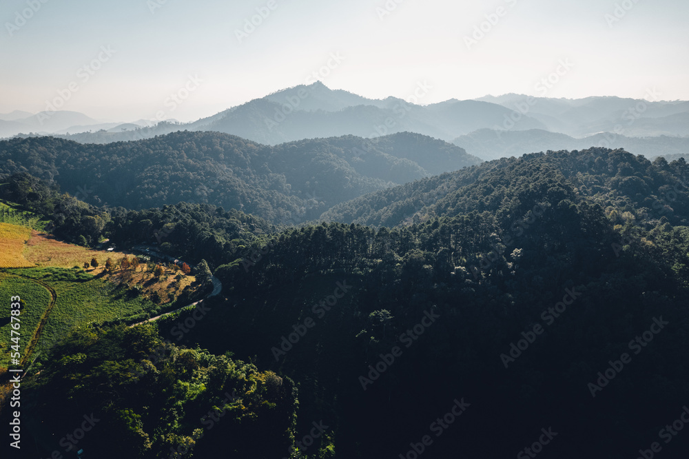 traveling on winding mountain road,Aerial View Of Winding Road Amidst Trees traveling on winding mountain road,Aerial View Of Winding Road Amidst Trees
