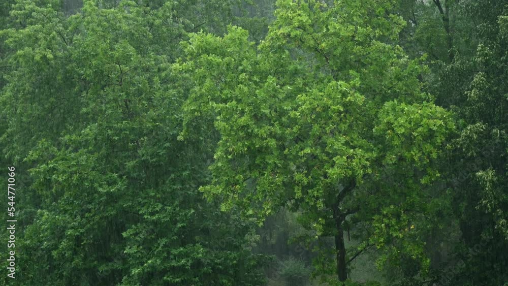 Torrential rain in the rainy season Torrential rain in the rainy season
