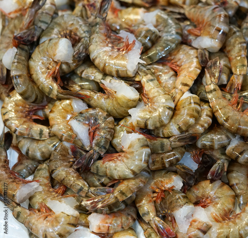 fresh shrimp as seafood background