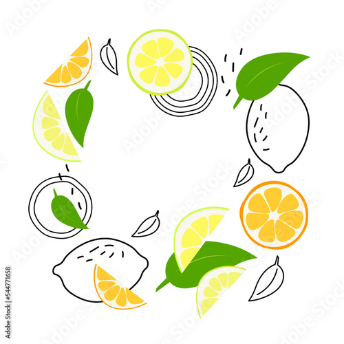 Vector background with citrus fruit and leaves. Modern trendy graphic style. 