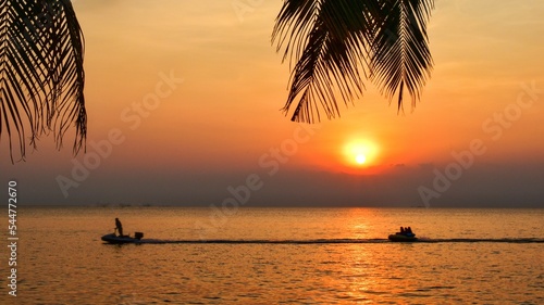 Palm Leaf Silhouette Dark Black Sea Background Sky Dusk Sunset