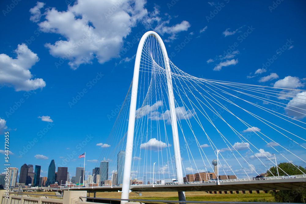 Fototapeta premium bridge over the river