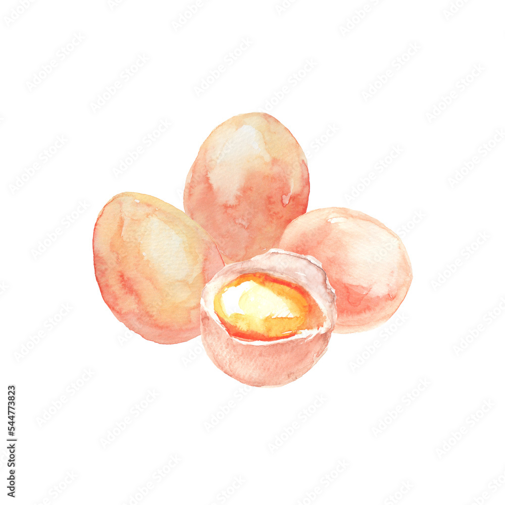 Fototapeta premium 水彩で描いた卵と卵黄のイラスト