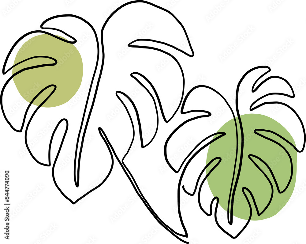 Fototapeta premium simplicity monstera leaf freehand continuous line drawing